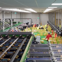 Mpac additional kiwifruit cold store