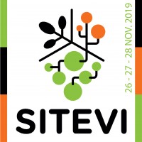 SITEVI 2019