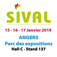 SIVAL 2019