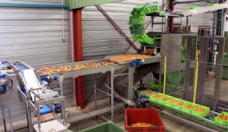 VALSOLEIL (France) - Continuous crate discharger - Apricot