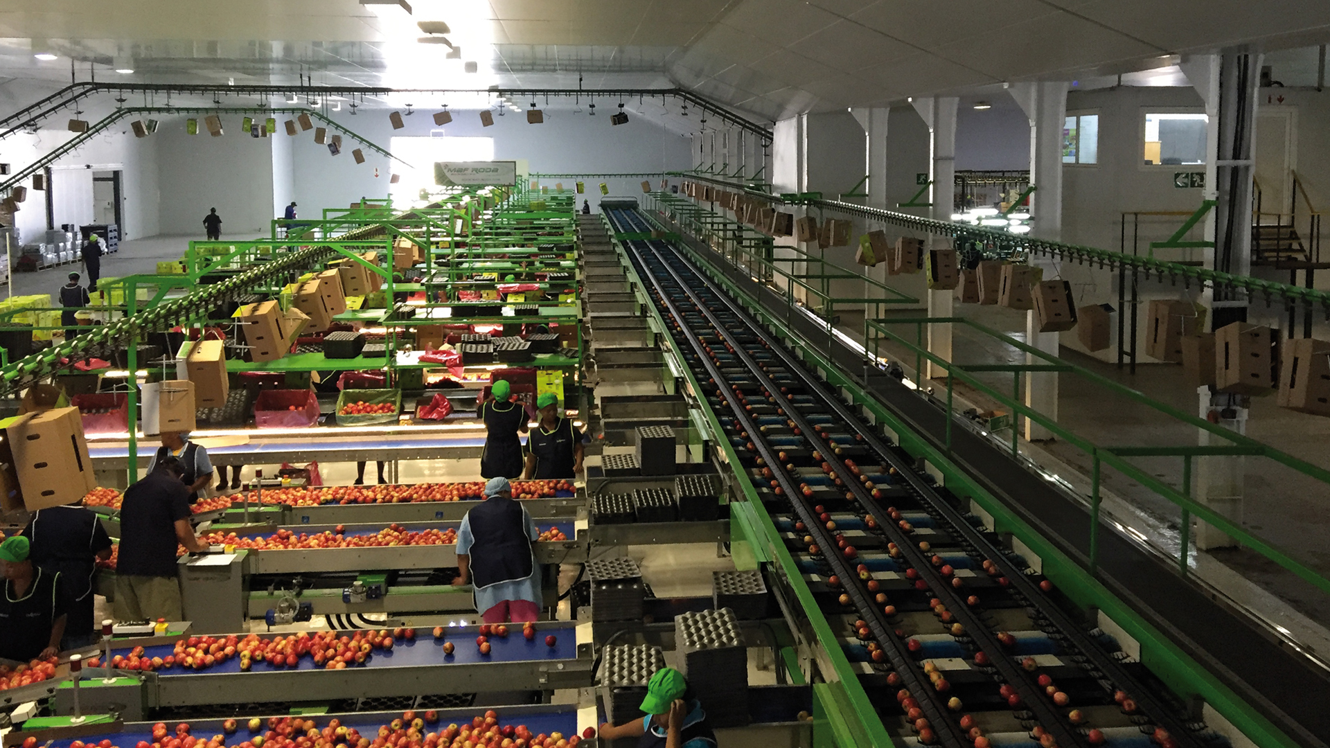 De Keur - Station fruitière pommes - lignes emballage