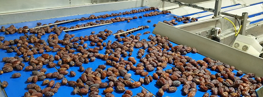 Dates-Control distribution belt
