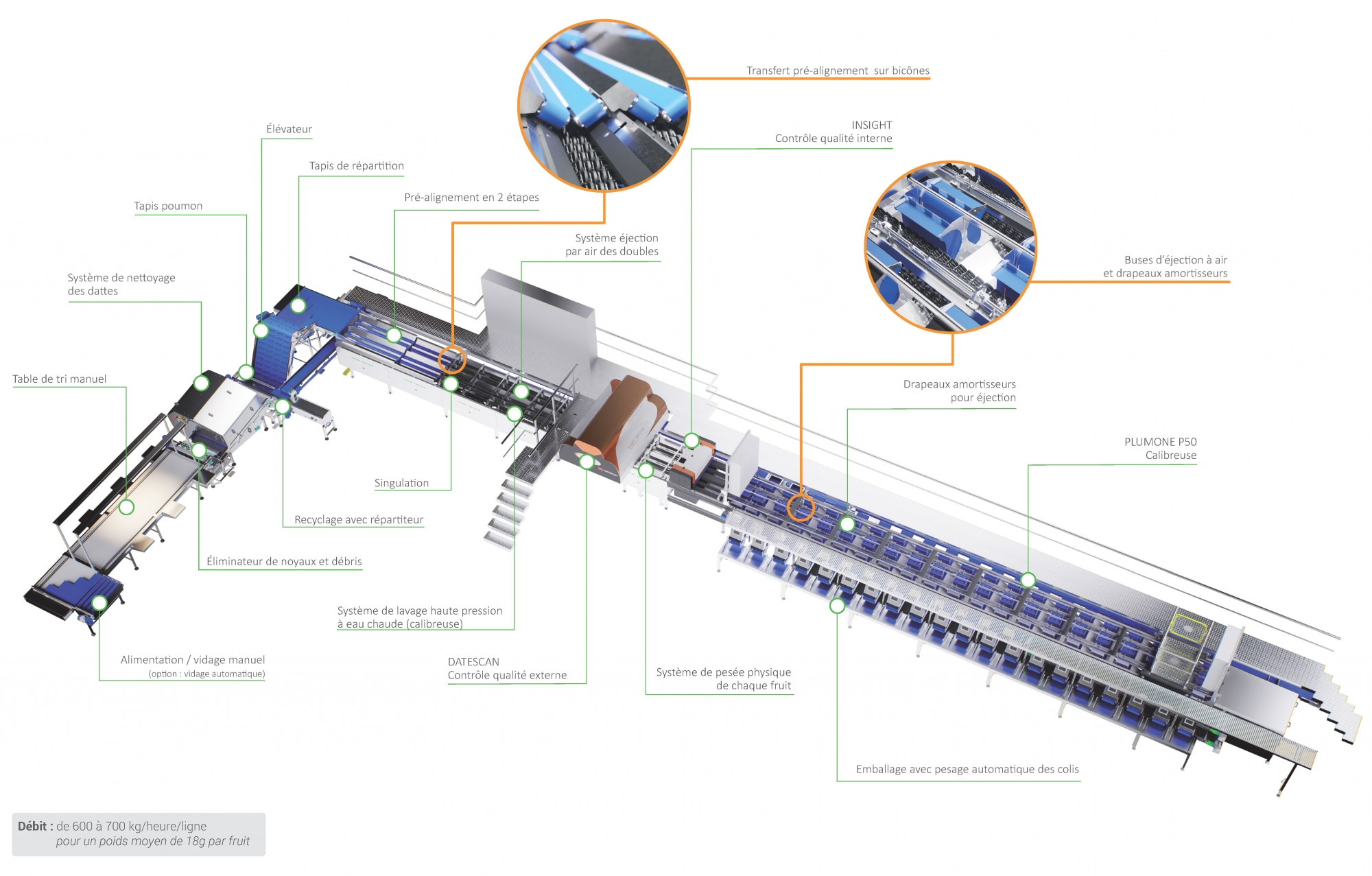 Process solution dattes