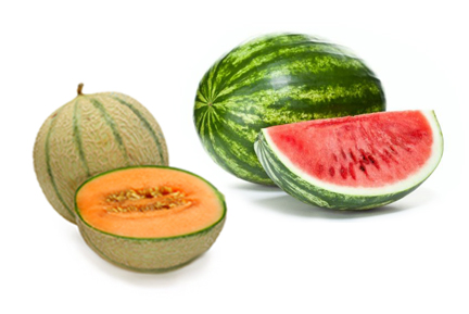 Melons et pastèques
