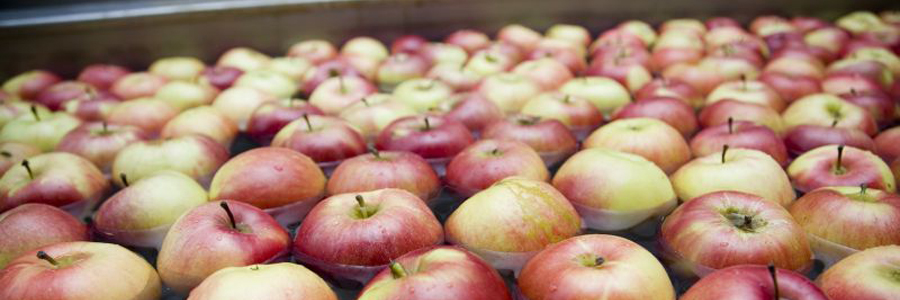 Panoramique fruits-pomme
