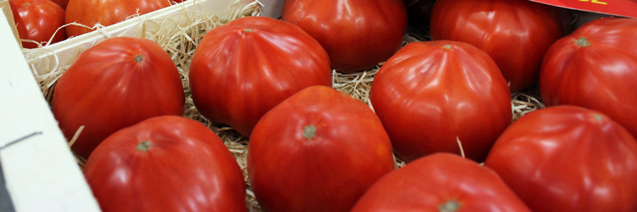 Panoramique fruits-tomate